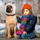 thumbnail image 4 of Orejas silenciosas para perros, protección contra el ruido, gorros de punto para perros, cubierta cálida para orejas de perro, gorro de invierno, envoltura para la cabeza del perro(Beige), 4 of 4