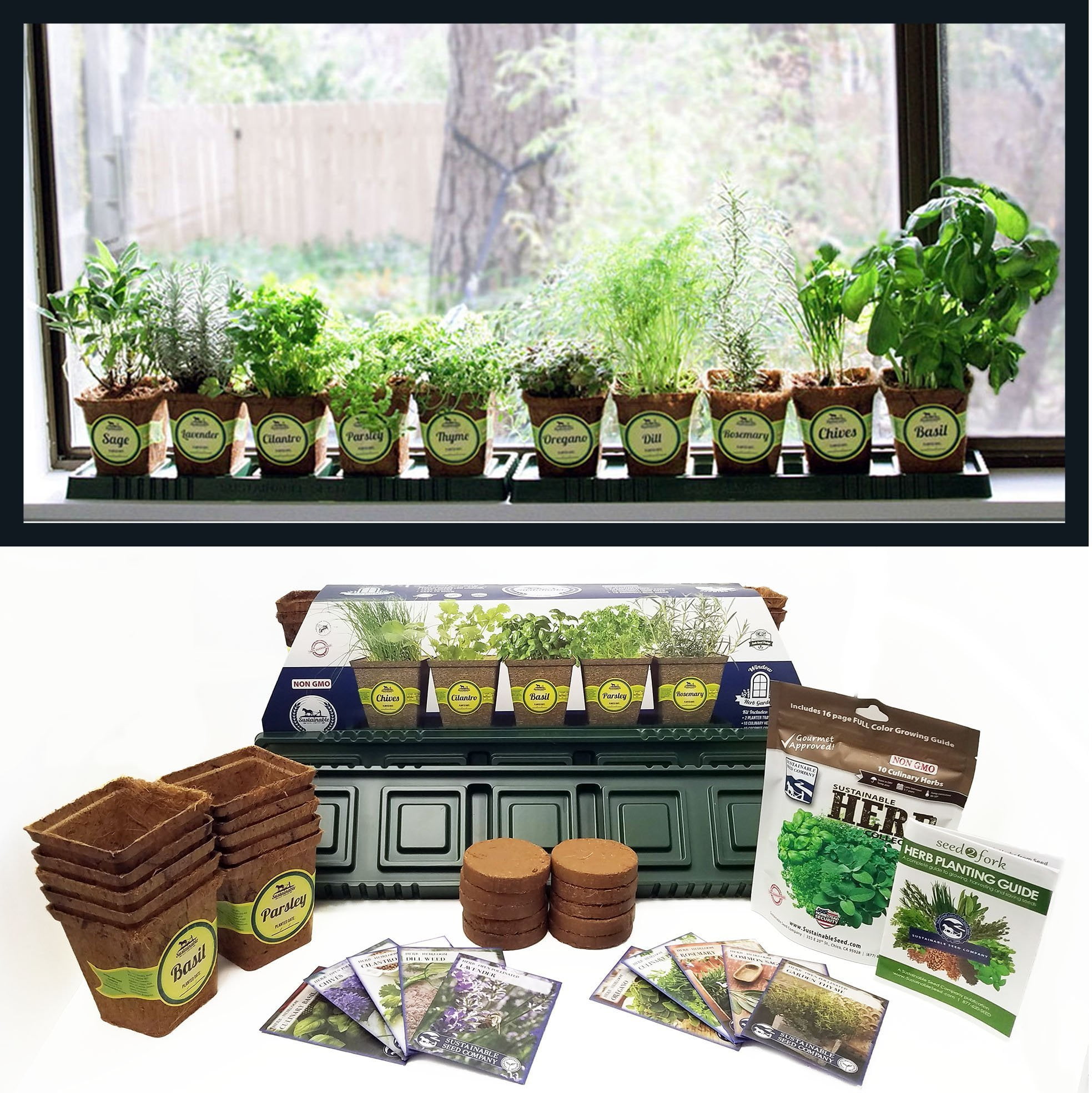 Windowsill Herb Garden Kit, Complete Herb Garden Kit, 10 Variety, Non ...