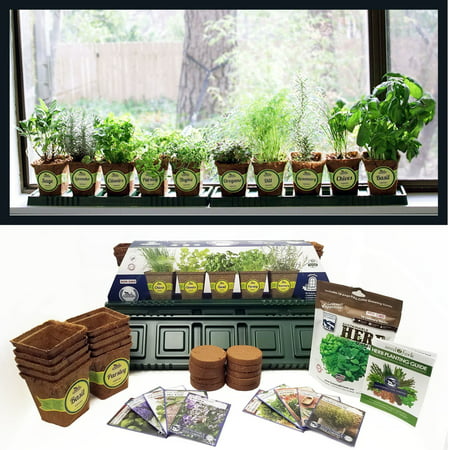 Windowsill Herb Garden Kit, Complete Herb Garden Kit, 10 Variety, Non GMO, Heirloom Herb Seeds Collection, by Sustainable Seed, Perfect Gift Idea! For Indoor or Outdoor