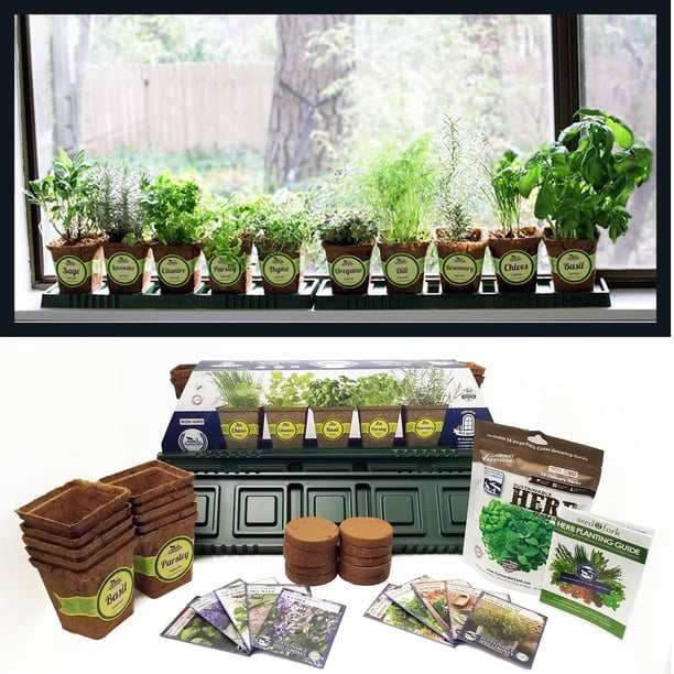 Windowsill Herb Garden Kit Complete Herb Garden Kit 10 Variety Non Gmo Heirloom Herb Seeds Collection By Sustainable Seed Perfect Gift Idea For Indoor Or Outdoor Gardening - Walmartcom