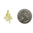 thumbnail image 2 of 14K White Gold Chinese Long Life Charm Pendant Jewelry, 2 of 4