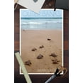 thumbnail image 3 of Outer Banks, North Carolina, Sea Turtles Hatching (12x18 Wall Art Poster, Room Decor), 3 of 3