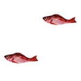 thumbnail image 3 of Bewildely Juguete para gatos, pez, carga eléctrica USB, simulación de baile, salto, pez disquete en movimiento, juguete para gatos, peces electrónicos Type2 NO2 Bewildely CBP114238, 3 of 5