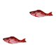 thumbnail image 3 of Bewildely Juguete para gatos, pez, carga eléctrica USB, simulación de baile, salto, pez disquete en movimiento, juguete para gatos, peces electrónicos Type2 NO2 Bewildely CBP114238, 3 of 5