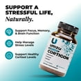 thumbnail image 6 of UMZU Cortigon: Natural Stress Relief & Cognitive Support, 6 of 8