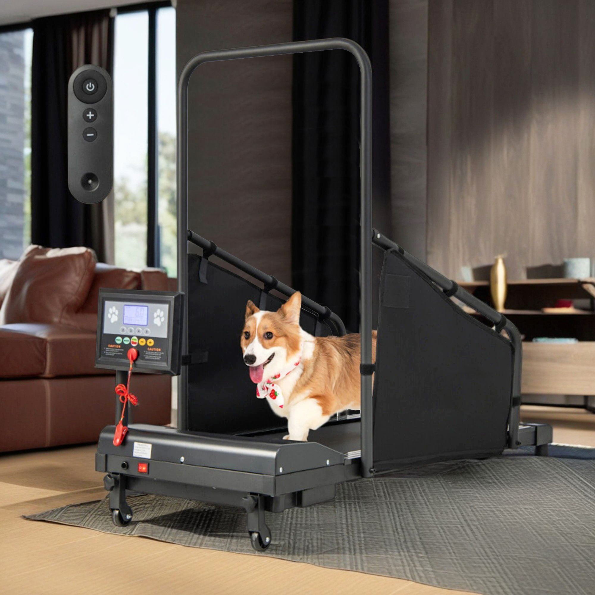 Petsite Indoor Treadmill for Small to Medium Dogs Pet Running Training Machine Walmart