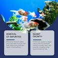 thumbnail image 4 of Nettoyant d'Eau pour Aquarium Algicide Réduit les Déchets Boue Contrôle la Croissance 100ml, 4 of 7