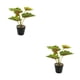 thumbnail image 3 of Planta en maceta Advancent JH5478 hojas artificiales para sala de estar dormitorio, 3 of 6