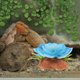 thumbnail image 4 of NUOLUX Planta Artificial Para De Reptiles Y Peceras Con Material Resistente Y Base Estable, 4 of 6