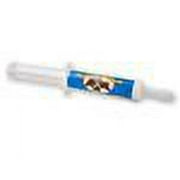 Oralx Corp OralX Calm and Cool Equine Paste