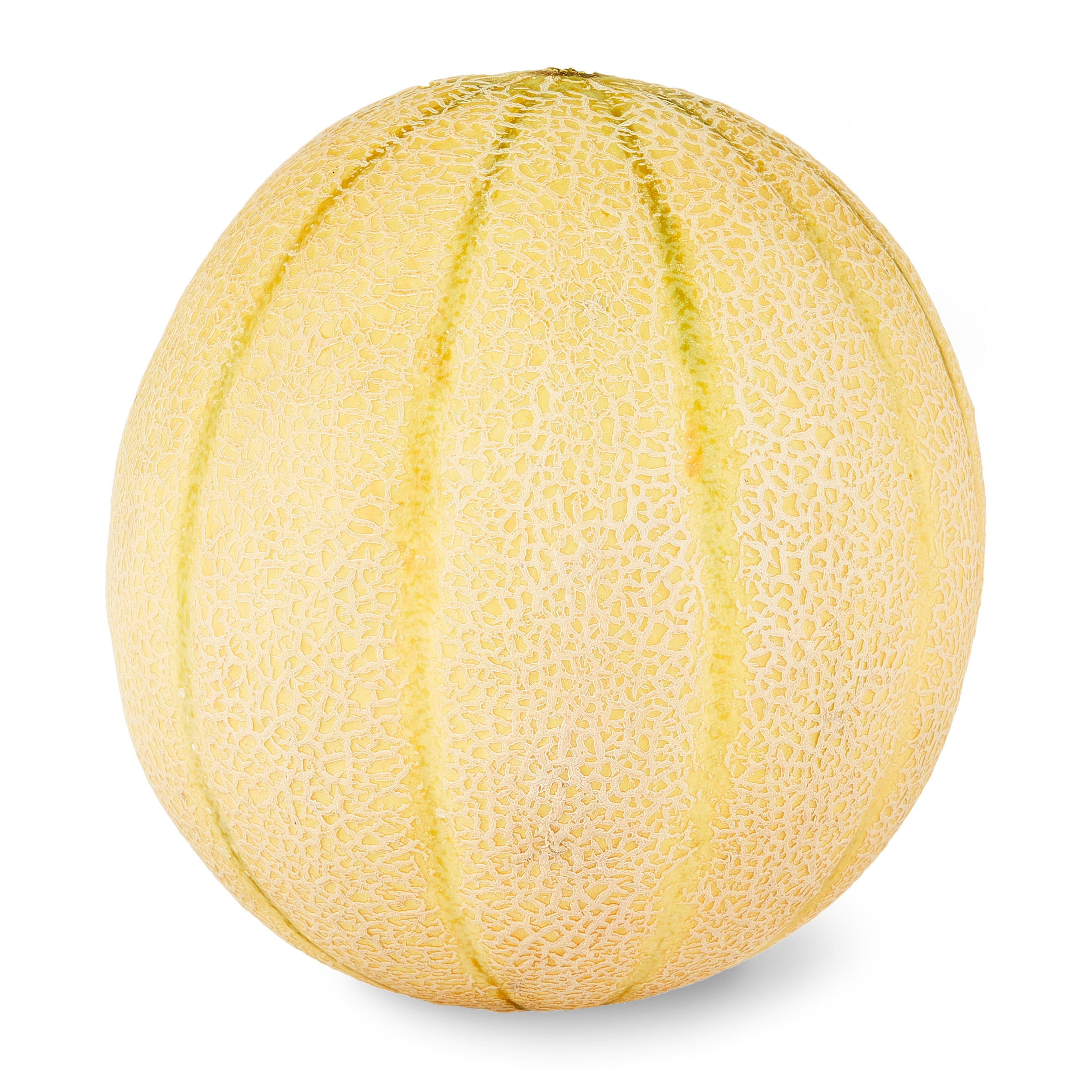 Fresh Tuscan Cantaloupe, Each