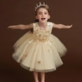thumbnail image 6 of XBASW Toddler Kids Girls Mesh Princess Dress Floral Tulle Bridesmaid Dress Baby Girls Embroidery Birthday Party Gowns 3-13T, 6 of 9