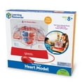 thumbnail image 2 of Learning Resources Pumping Heart Model - Science Classroom Must Haves, STEM, Ages 8+, 2 of 5