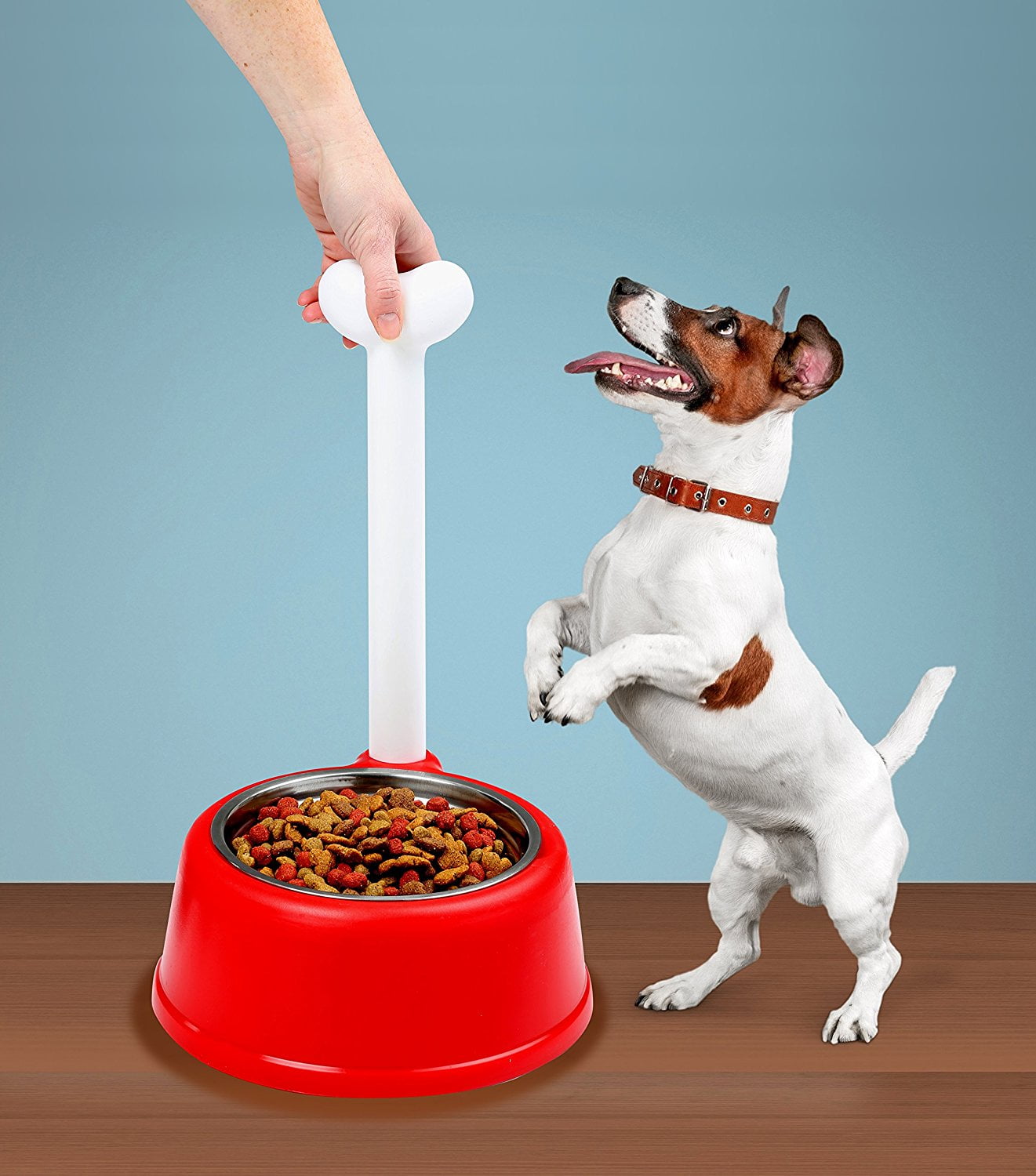 16" No Bend Stainless Steel Pet Bowl, Helps eliminate bending down to