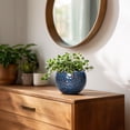 thumbnail image 6 of Ordivic 4 inch Reactive Glaze Blue Ceramic Plant Pot with Drainage Hole & Plug, Small Decorative Indoor Planter for Pothos Peperomia Cactus Houseplant, Desktop Home Office Decor, 6 of 7