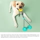 thumbnail image 4 of Suministros Para Perros Molares Bola Resistente A Mordeduras Succionador Fuerte Juguete Para Perros Suministros Para Mascotas Eigraketly PT001699-01, 4 of 7