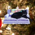 thumbnail image 3 of Adorno acrílico de gato negro para Navidad, divertido accesorio fotográfico para amantes de los gatos. Estilo C, 3 of 6