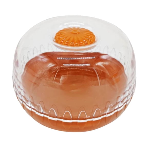 Vegetable Storage Container with Refrigerator Lid | Airtight Fresh Keeper for Onions, Avocados, Tomatoes, Lemons | Reusable, Space-Saving, Transparent, Durable PP ABS | Single Preservation Box