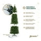 thumbnail image 5 of Árbol de Navidad Pino Canadiense Tipo Lápiz, Esquimal (Verde, 1.80 m), 5 of 6