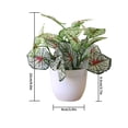 thumbnail image 1 of Artificial Potted Plant Leaf Simulation Leaves Home Office Desktop Greenery Decoration, 1 of 4