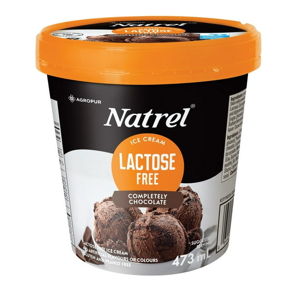 Crème glacée sans lactose complètement chocolat Natrel 473 mL