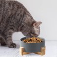 thumbnail image 3 of El plato de cerámica del cuenco del gato del perro con el soporte, cuencos pesados pesados lindos modernos del animal doméstico fijó para los gatos y los perros, 3 of 5