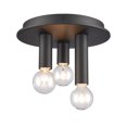 thumbnail image 4 of Pepper 8'' Wide 3-Light Flush Mount - Matte Black, 4 of 4