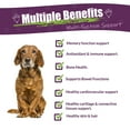 thumbnail image 3 of Amber NaturalZ Carticil Plus for Dogs | Joint, Gut, Lung, & Heart Health | 60 days, 3 of 6