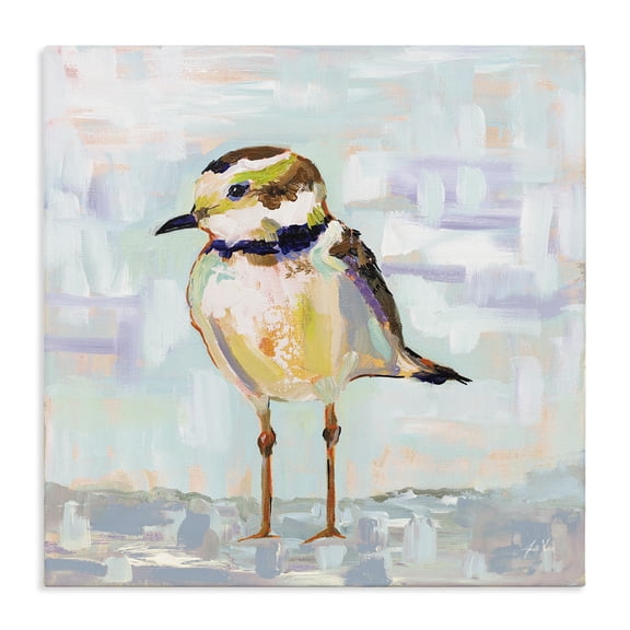 Stupell Industries Coastal Coastal Plover Patchwork Abstract Canvas Art, 24 x 24, by Jeanette Vertentes