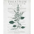 thumbnail image 3 of Kimberly, Allen 20x24 Black Modern Framed Museum Art Print Titled - Botanical 2, 3 of 5