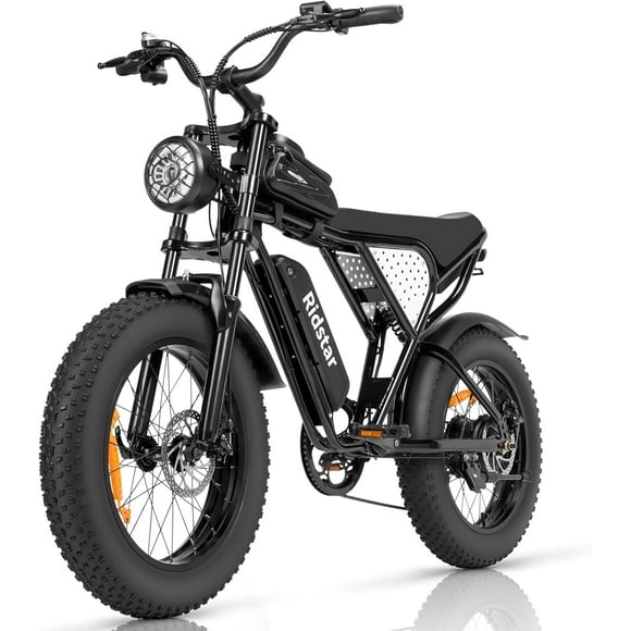 Electric Bike Ridstar Q20 1000W Motor for Adults,25-30MPH,48V15.6AH Battery, Max 50-180 Miles Electric Motorcycle, 20" Fat Tire Dirt Bike, Shamano 7-Speed EBike