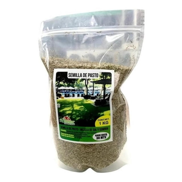 Semilla De Pasto Césped 1Kg Media Sombra Rinde 30 M2 Palhogar Semilla Césped Media Sombra