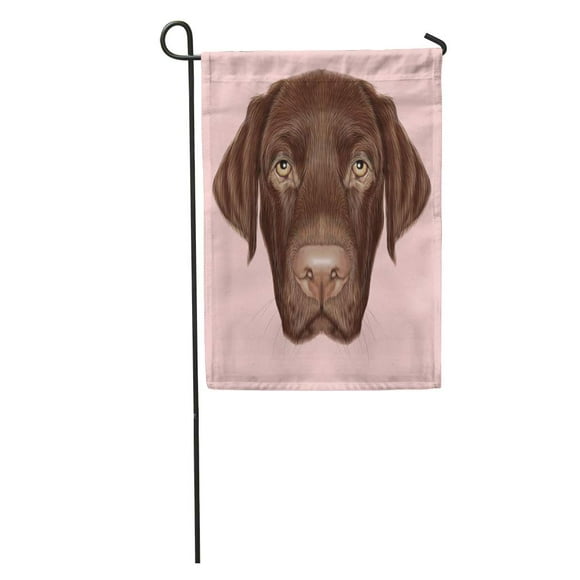POGLIP Brown Black Labrador Retriever Dog Portrait of Chocolate on Pink Garden Flag Decorative Flag House Banner 12x18 inch
