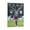 Frame-style, variant on Ronaldinho Poster Canvas Poster Poster Decorative Painting Canvas Wall Art Living Room Posters Bedroom Painting 16x24inch(40x60cm)