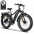 thumbnail image 1 of Oiios Quanta Electric Bike Fat Tire Ebike for Adults - 750W 45km/h - UL Certified 48V 15.6Ah Long Range - Black - Hydraulic Brakes, Color Display, 1 of 12