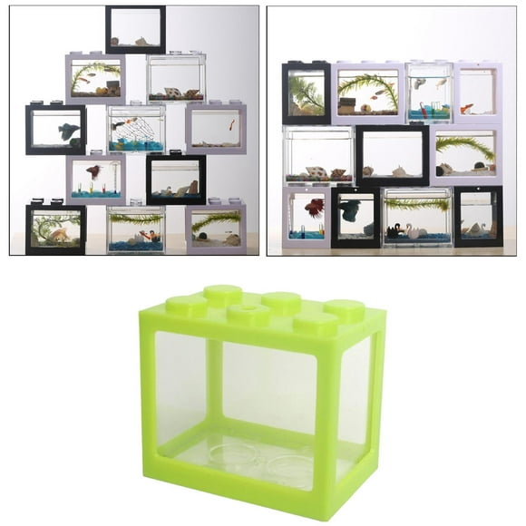 Aquarium Fish Tank, s Superimposed Desktop Aquarium Green