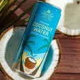 thumbnail image 4 of Harney & Sons Coconut Water, Naturally Refreshing, Natural Electrolytes for Hydration, No Preservatives, 10.8 fl oz Cans (Pack of 12), 4 of 6