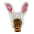 thumbnail image 1 of Costumes For All Occasions ELLA2516 Disney Alice White Rabbit, 1 of 1