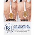 thumbnail image 2 of Cepillo de ducha corporal Rafow Back Scrubber, antideslizante, mango largo, 2 of 8