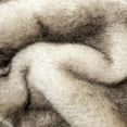 thumbnail image 4 of Battilo Cream Faux Fur Throw Blanket, Large Mink Fake Fur Throw,Fuzzy Thick Plush Blanket,50"x60", 4 of 9