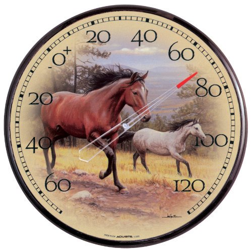 Horse Thermometer