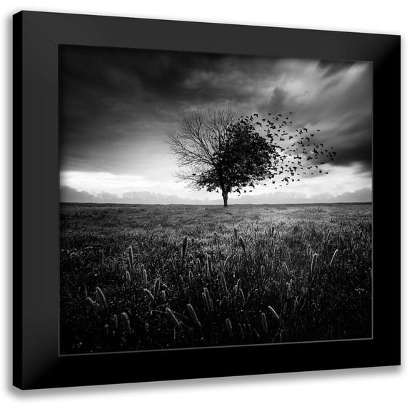 Del Grosso, Sebastien 15x15 Black Modern Framed Museum Art Print Titled - Illusion dun printemps perdu