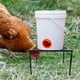 thumbnail image 4 of Soporte para comedero de gallinero, soporte metálico para bebedero, estante para comedero de pollos, soporte para comedero de gallinero, 4 of 7