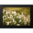 thumbnail image 2 of Millet, Karyn 24x17 Black Modern Framed Museum Art Print Titled - Daffodils, 2 of 5