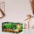 thumbnail image 4 of Yazoeia Reptile Terrarium - Reptile Breeding Box, Transparent Feeding Terrarium | Acrylic Reptile Feeding Container, Lizard Aquarium Breeding Terrarium Habitat for Snake Turtle Frog Spider, 4 of 9