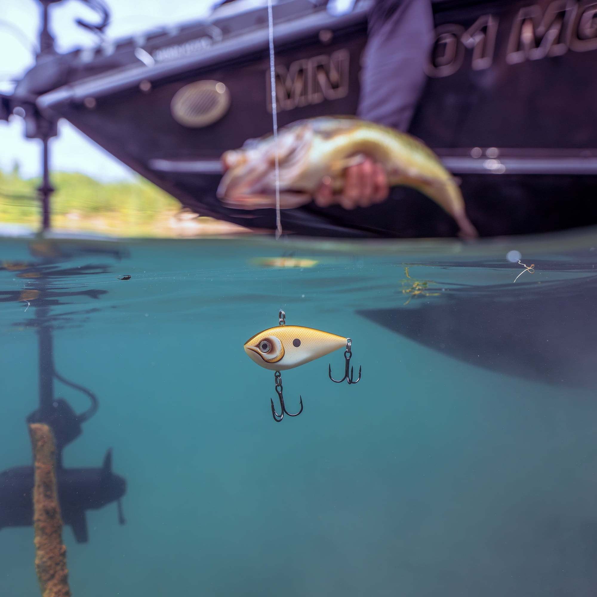 Rapala Snare 50 True Gill, crankbait sans bavette