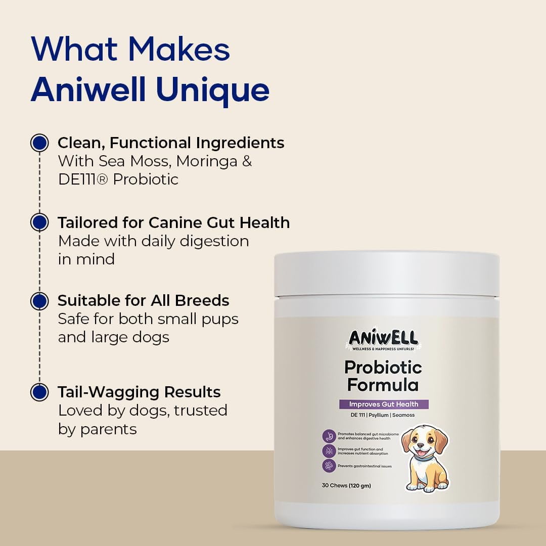 Aniwell Probiotics Chews for Digestive Health: Powered by Mixed Tocopherols, Supports Gut Health, Digestive Balance & Allergy Relief - Soft Chews | Pack of 3