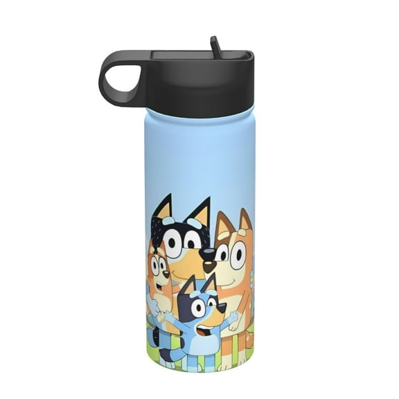 Water Bottle Vacuum Insulated Stainless Steel Thermos Bottle With Straw Reusable Glass Cup(18 oz/532 Ml)