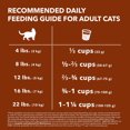 thumbnail image 4 of Iams Advanced Health Immune Health Salmon & Chicken Adult Dry Cat Food 1.6kg, 4 of 9