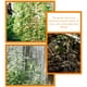 thumbnail image 2 of Estantes trepadores para plantas, diseño de hierro, enrejado creativo para jardín, enrejado para plantas trepadoras, 2 uds., 2 of 5